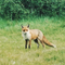 User avatar for Huddlemore47