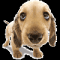 User avatar for severin